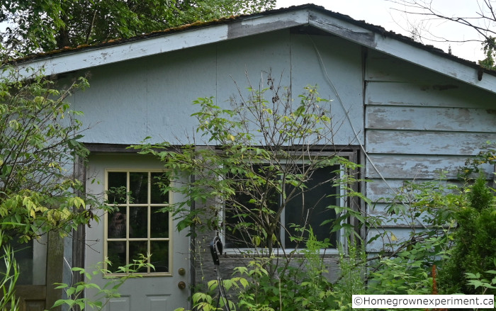 Transofrm building into greenhouse
